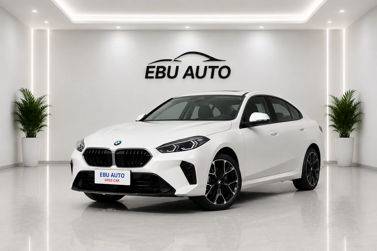BMW BMW 2 Series gasoline vehicle front view