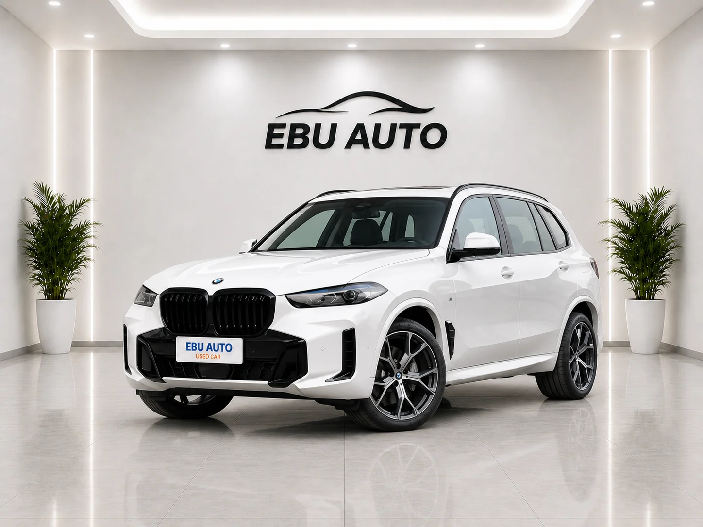 BMW X5 2026 Facelift xDrive30Li Honor EditionMSportNight package