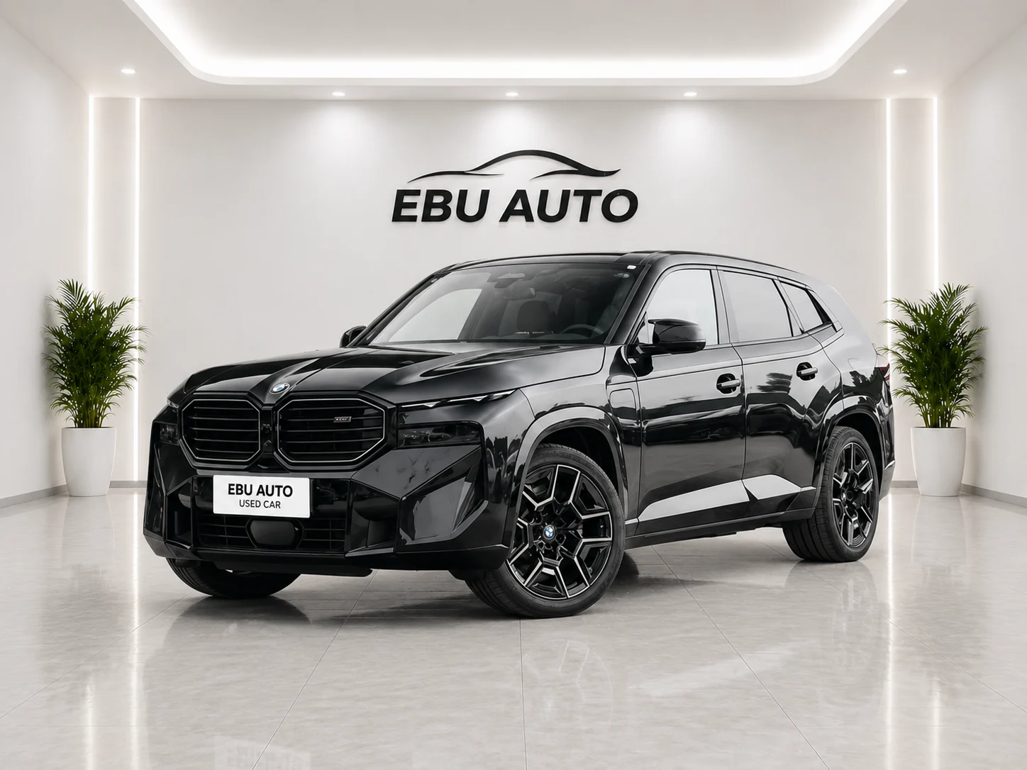 BMW XM 2025 4.4T Label