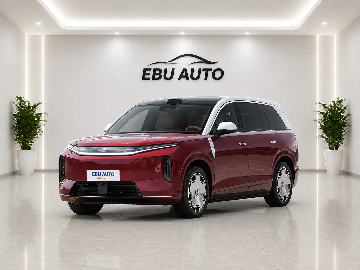 Da Tang EV 2026 800KM Rear Edition Li DAR Premium Version