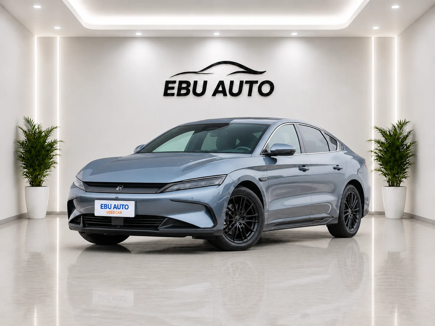 HAN DM 2025 Long Range Smart Drive Version DM-i 245KM Comfort