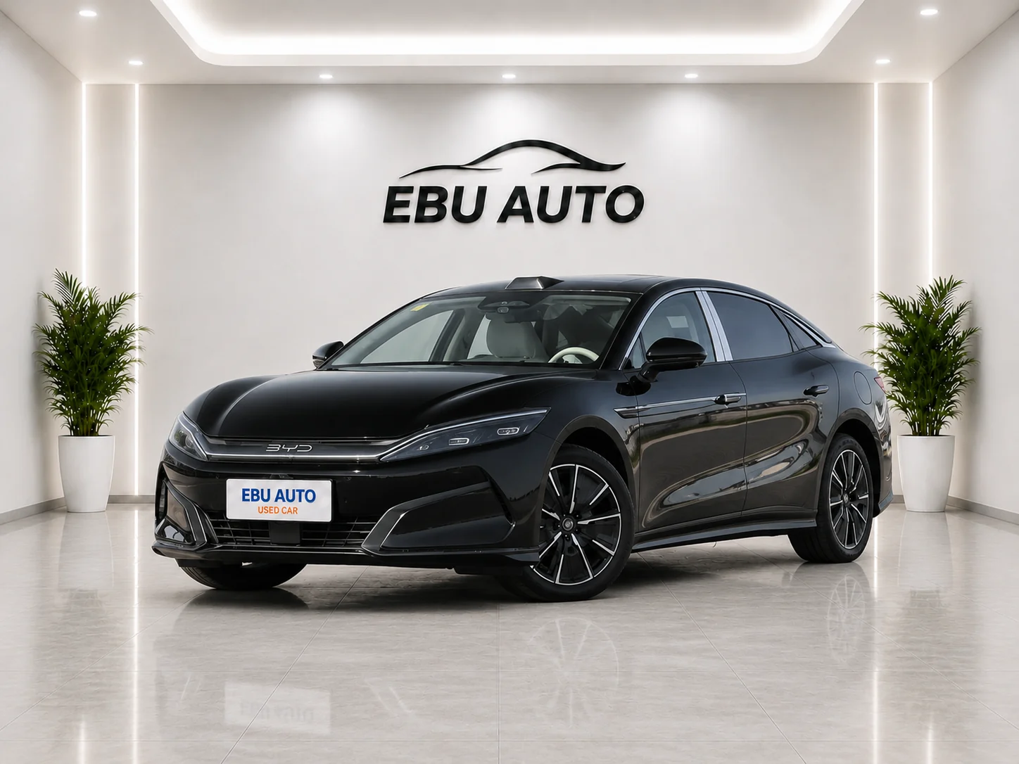 HAN L DM 2025 DM-i 200KM 2WDLi DAR Premium Type