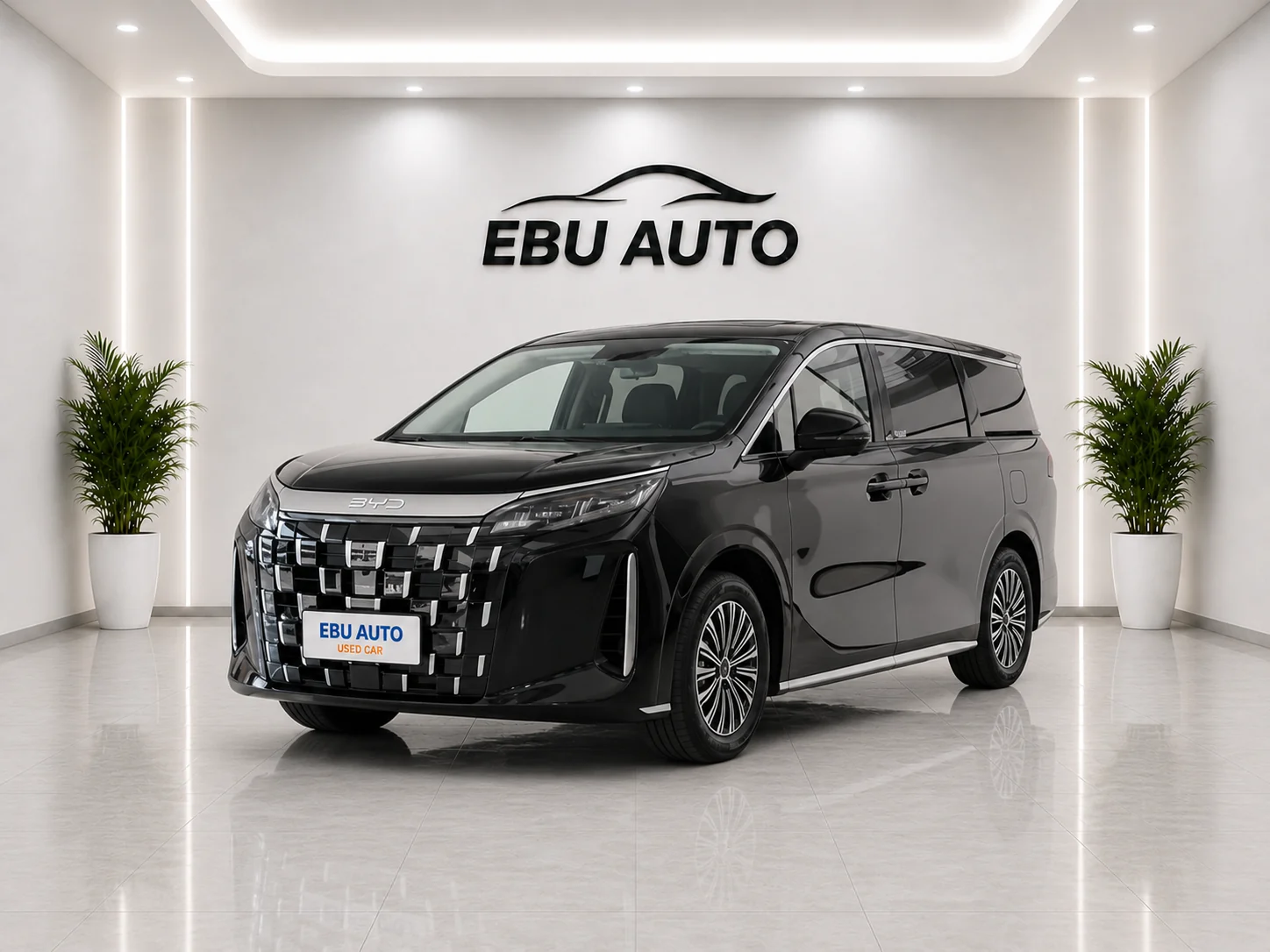 BYD M9 2025 1060 Navigation Edition