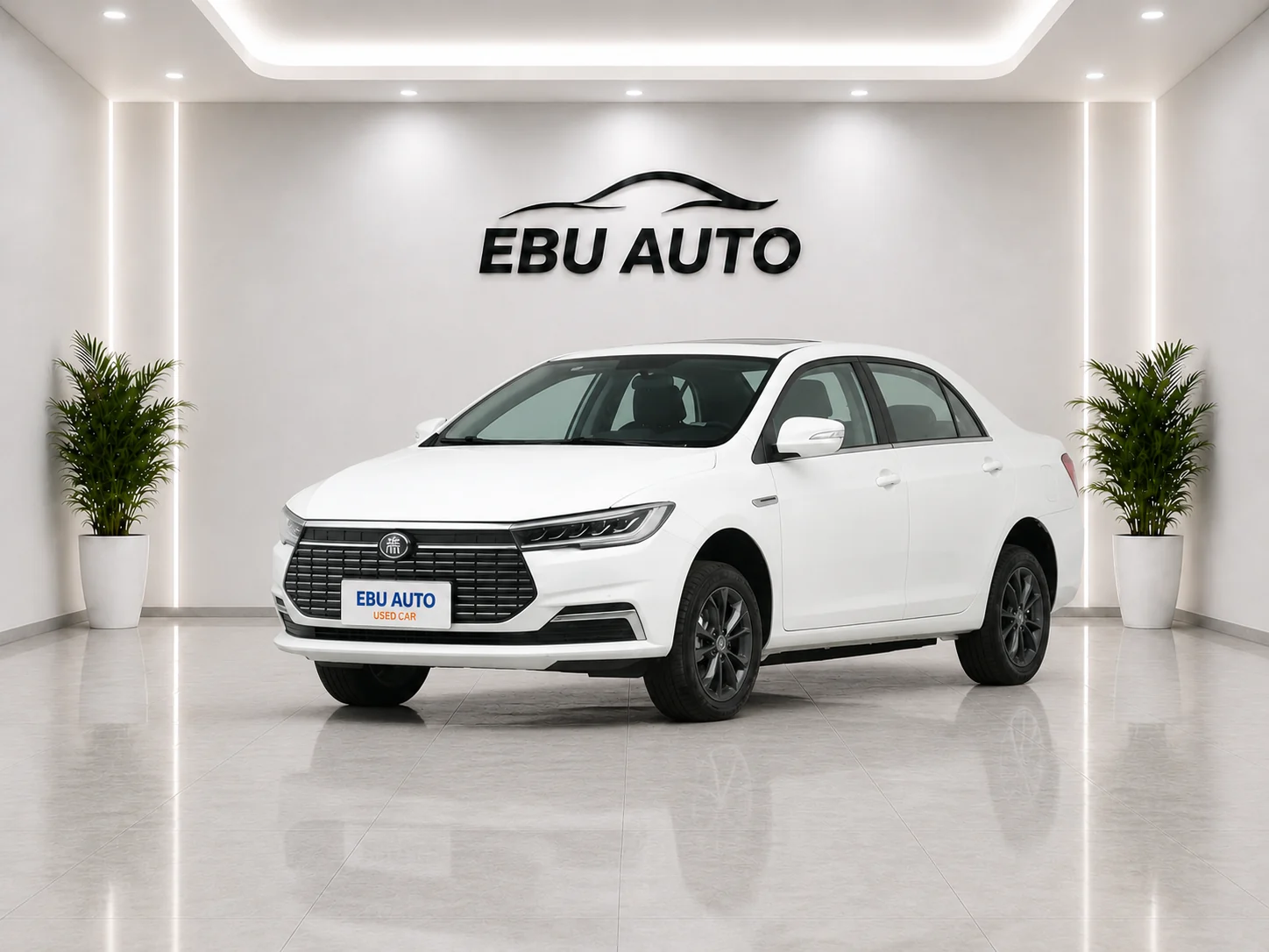BYD Qin EV 2025 Standard Edition 450