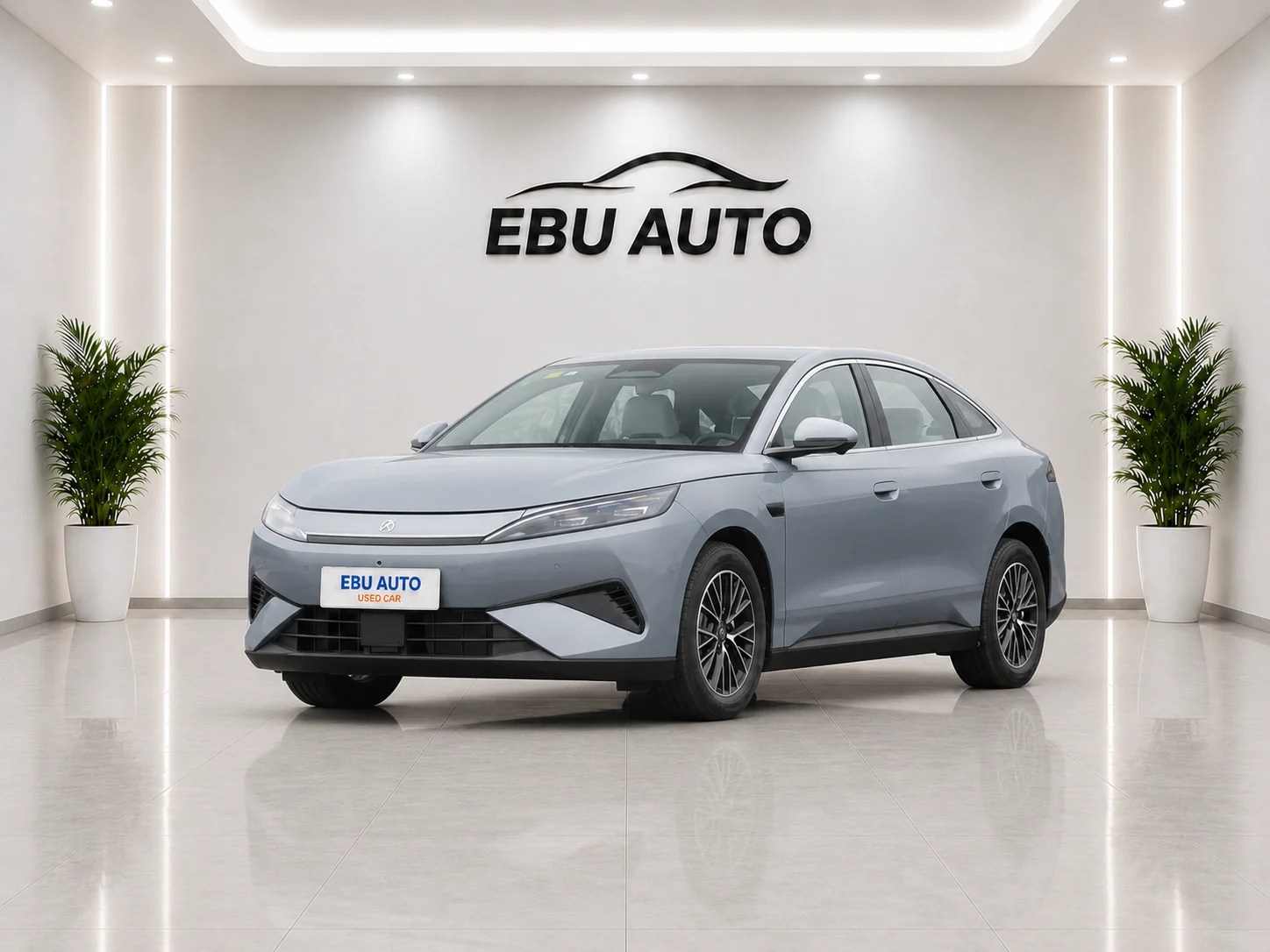 BYD Qin MAX 2026 530KMLeadingModel