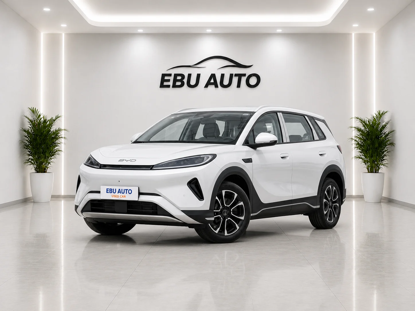 Sea Lion 05 DM-i 2026 DM-i 220KMLaunch Edition