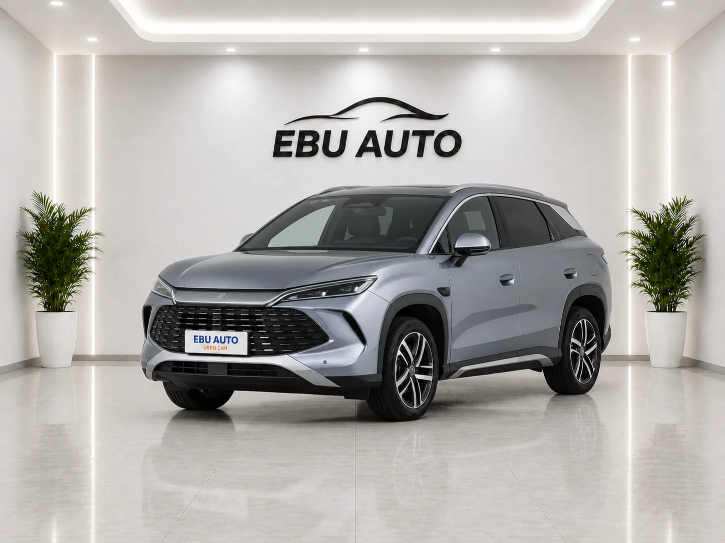 Song L dm 2026 DM-i 130KMUltra Cross Type