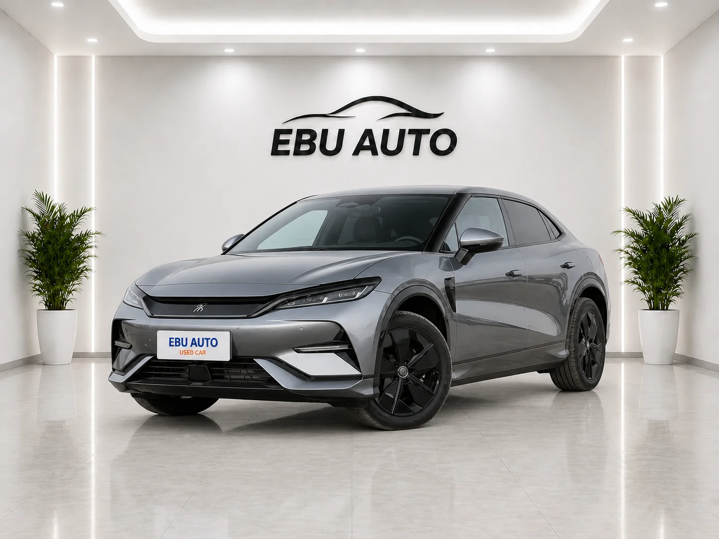 Song L EV 2025 Smart Drive Version 550KM Excellent Type