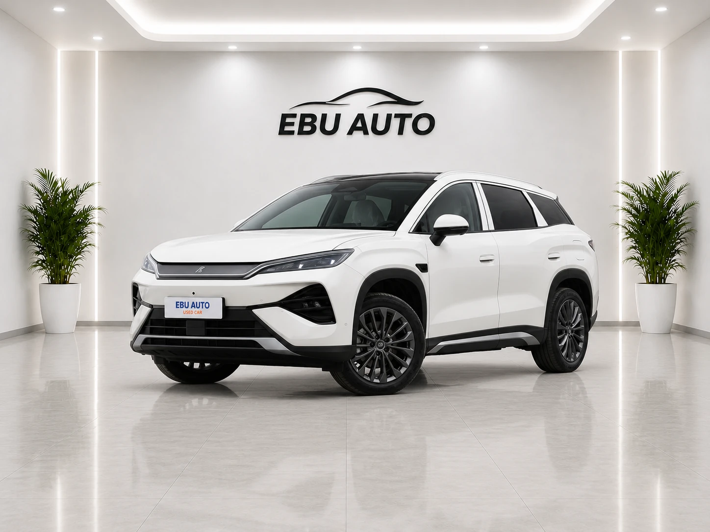BYD Song Ultra DM-i 2026 205KM Leading