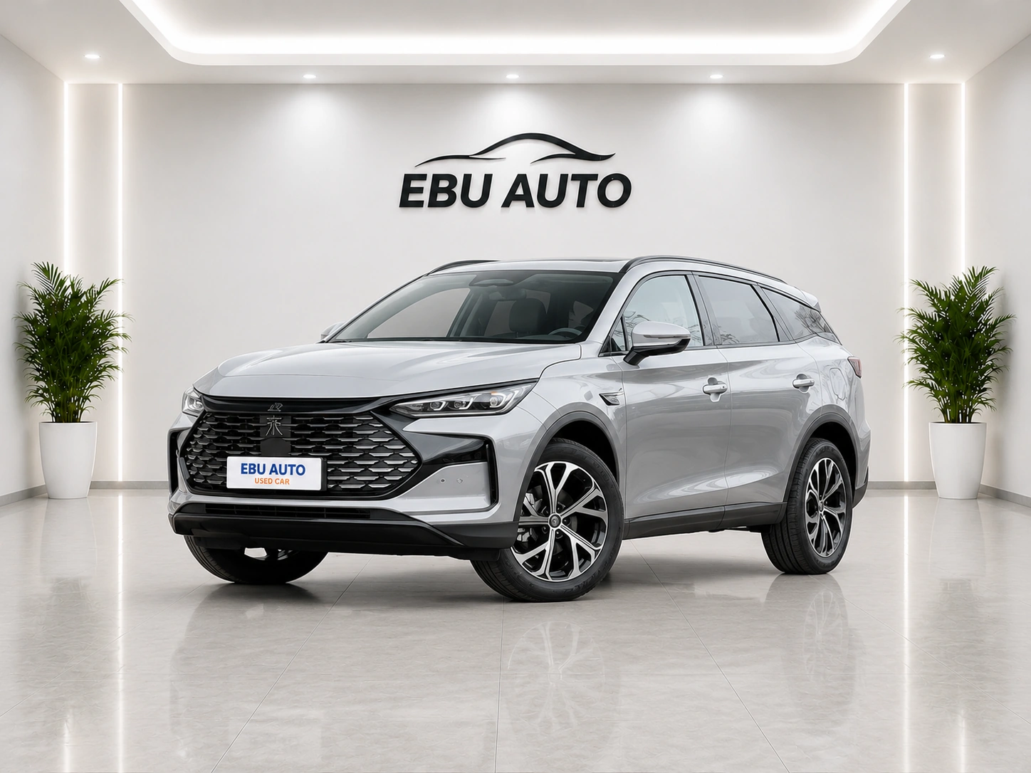 BYD Tang DM 2025 Smart Driving Edition DM-i 115 km Premium