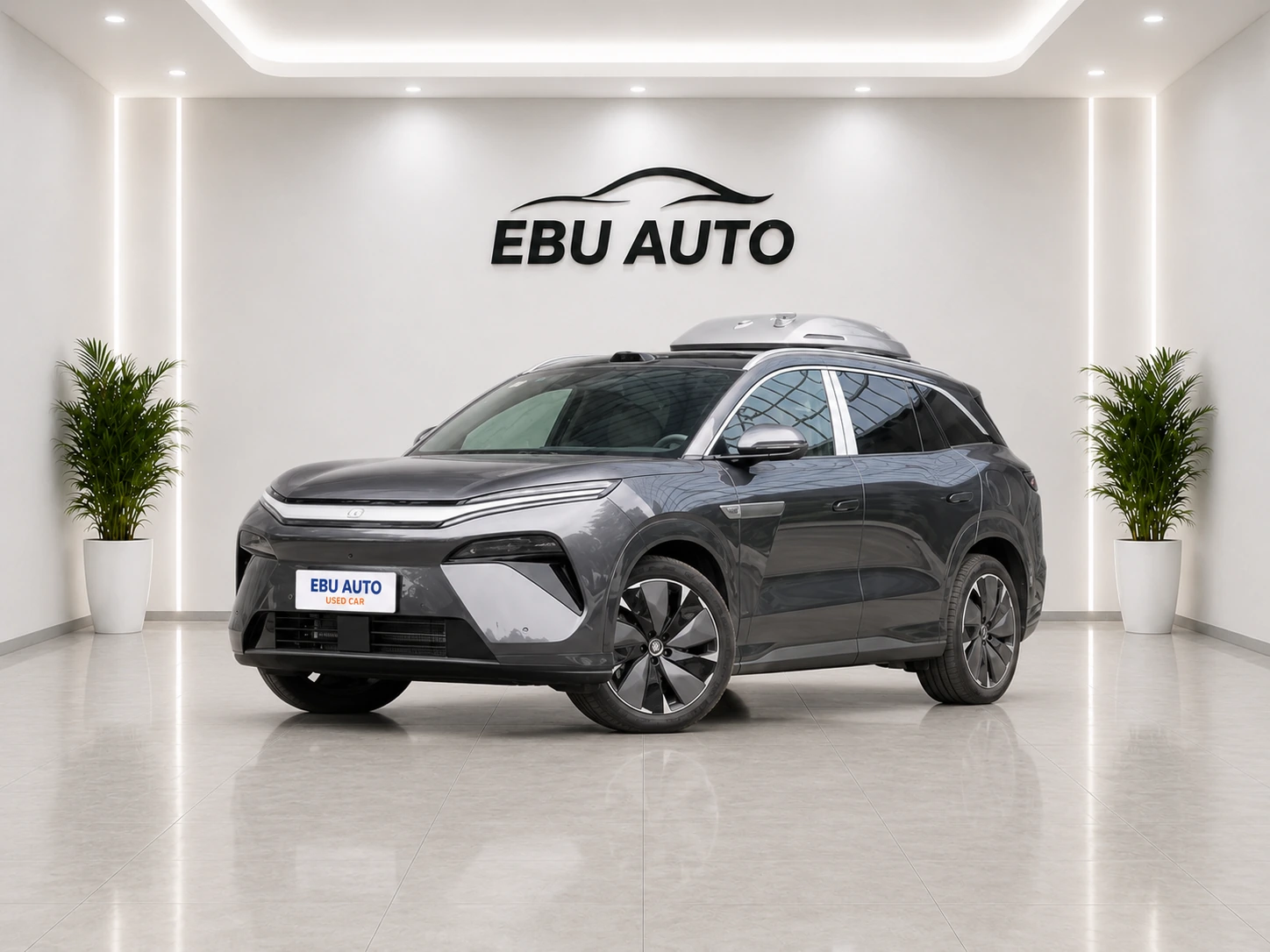 BYD Tang L DM 2025 DM-i 215KM 2WD Li DAR Flagship
