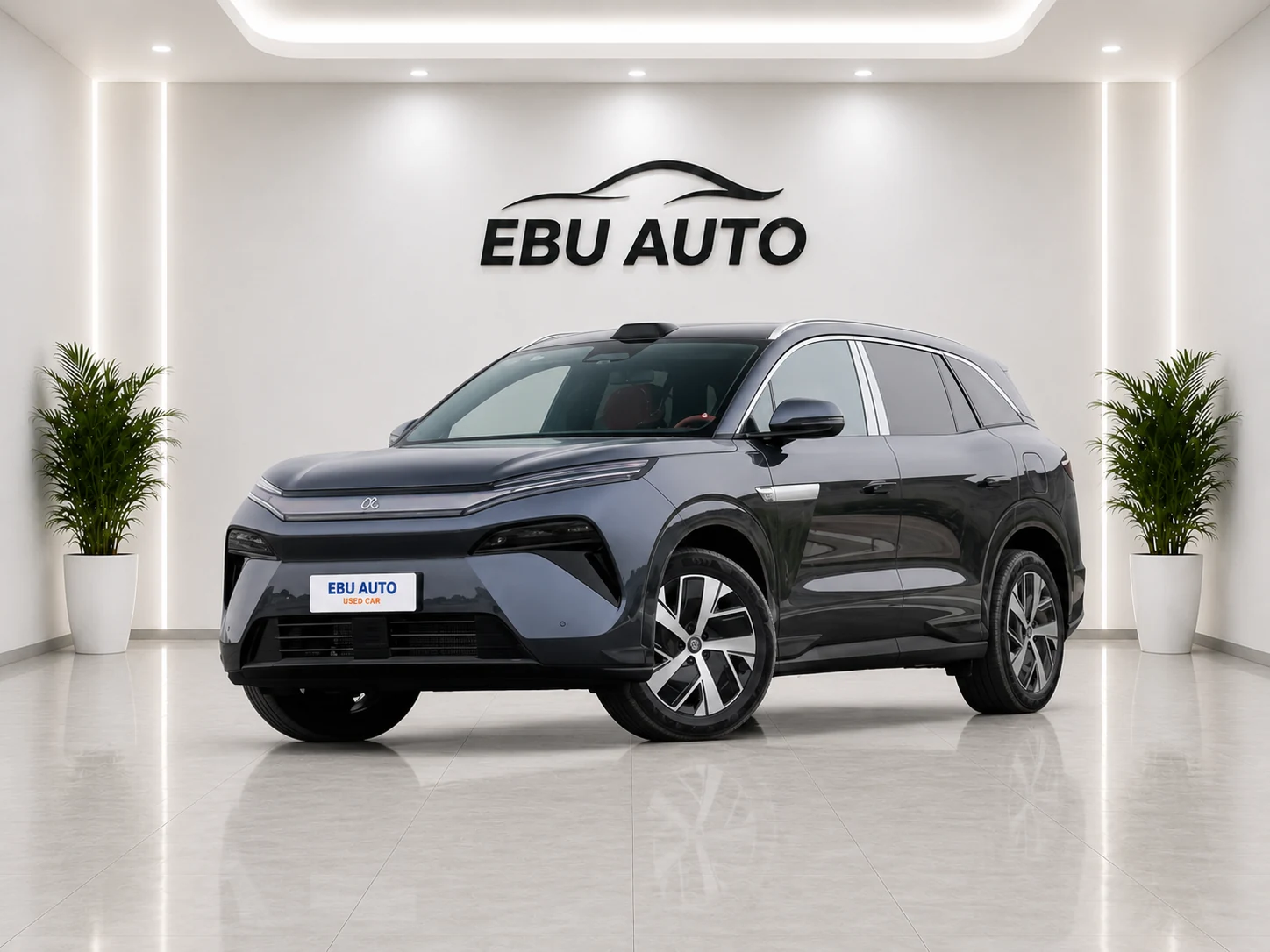 BYD Tang L EV 2025 670KM RWD Li DAR Premium