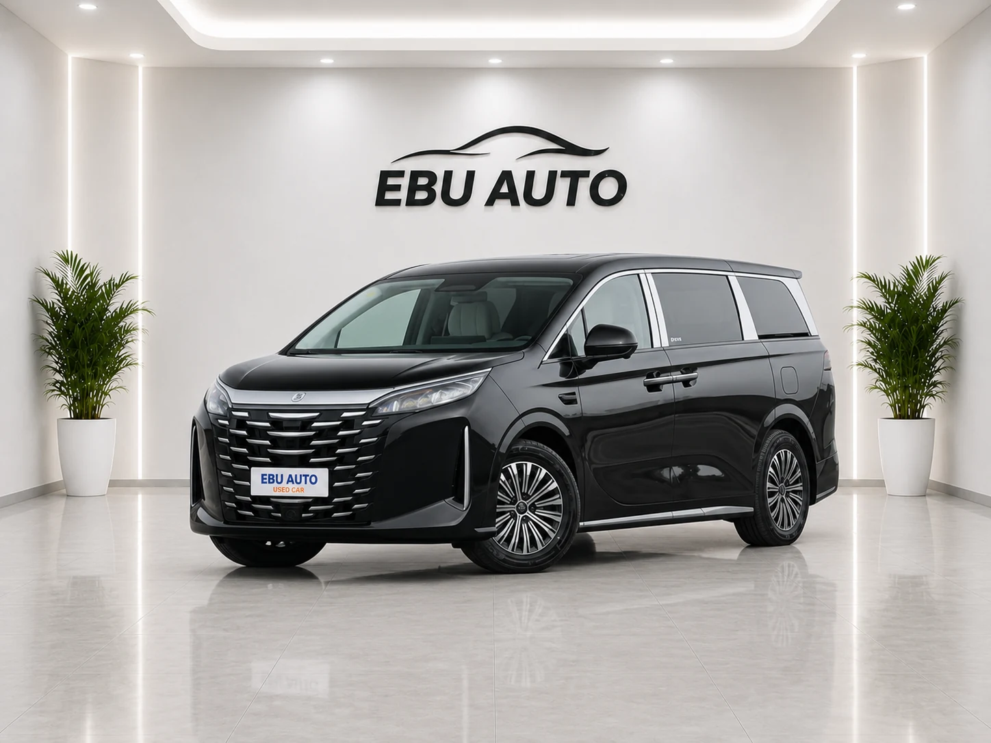 BYD Xia DM-i 2026 100KM Progressive