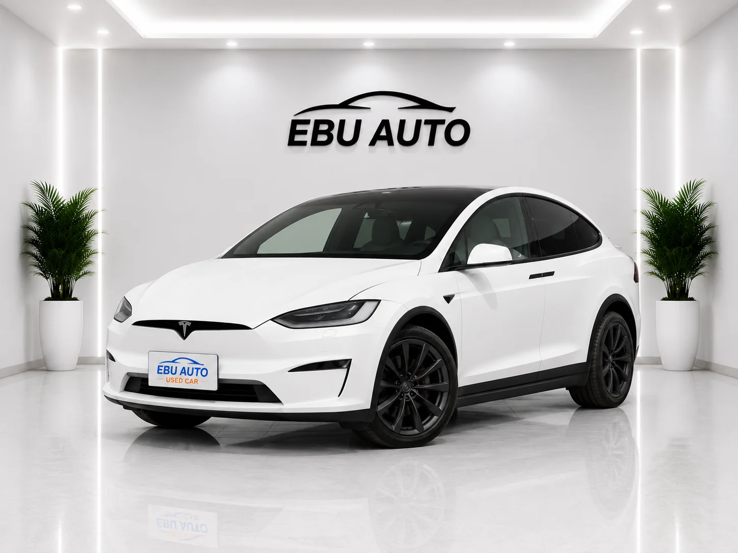Tesla Tesla Model X vehicle front view